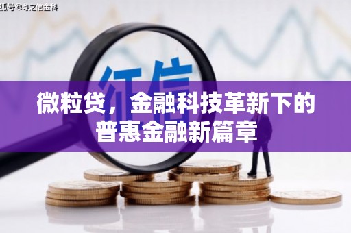 雅安微粒贷，金融科技革新下的普惠金融新篇章