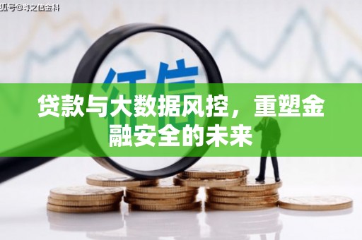 雅安贷款与大数据风控，重塑金融安全的未来