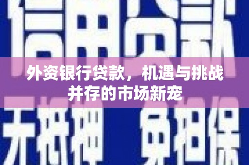 雅安外资银行贷款，机遇与挑战并存的市场新宠