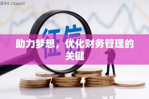 雅安助力梦想，优化财务管理的关键