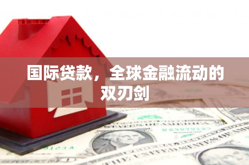 雅安国际贷款，全球金融流动的双刃剑