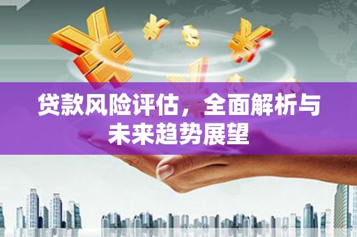 雅安贷款风险评估，全面解析与未来趋势展望