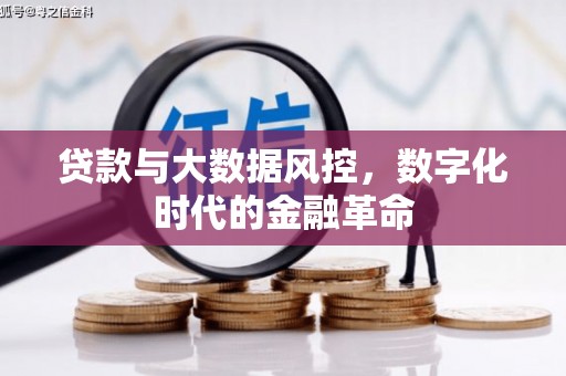 雅安贷款与大数据风控，数字化时代的金融革命