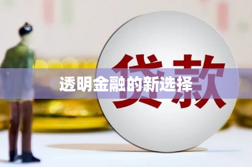 雅安透明金融的新选择