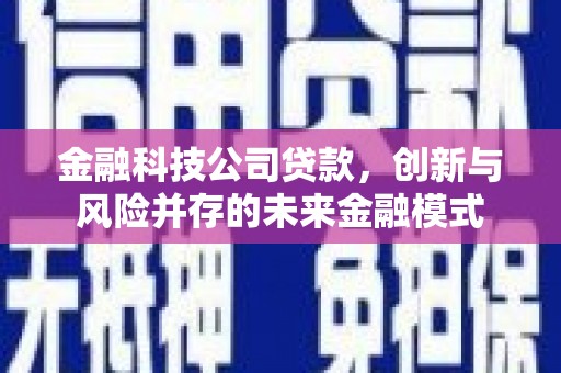 雅安金融科技公司贷款，创新与风险并存的未来金融模式