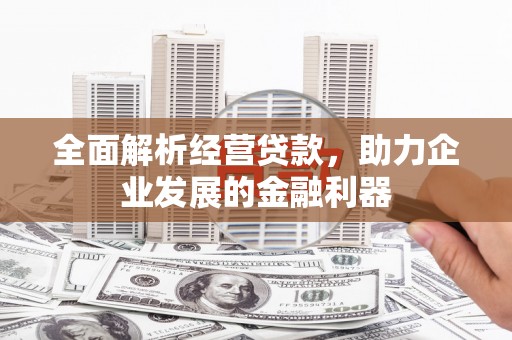 雅安全面解析经营贷款，助力企业发展的金融利器