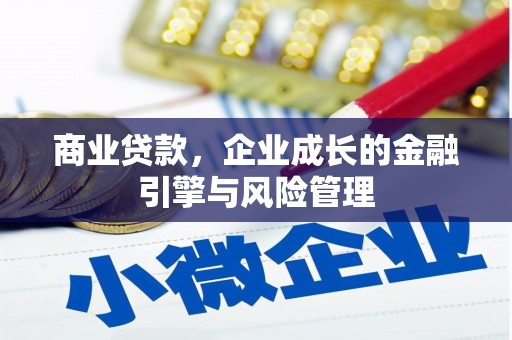 雅安商业贷款，企业成长的金融引擎与风险管理