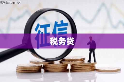 雅安税务贷