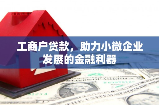 雅安工商户贷款，助力小微企业发展的金融利器