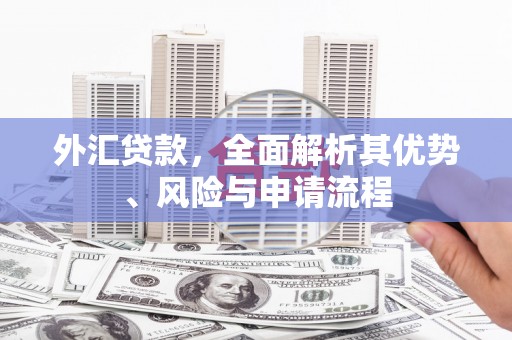 雅安外汇贷款，全面解析其优势、风险与申请流程
