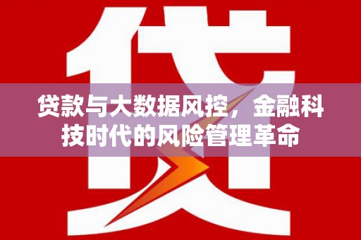 雅安贷款与大数据风控，金融科技时代的风险管理革命