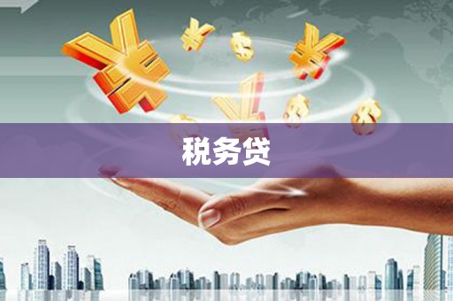 雅安税务贷