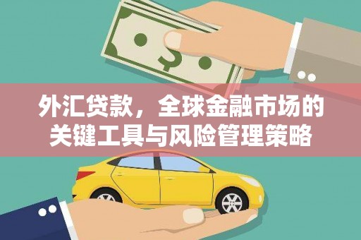 雅安外汇贷款，全球金融市场的关键工具与风险管理策略