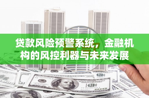 雅安贷款风险预警系统，金融机构的风控利器与未来发展