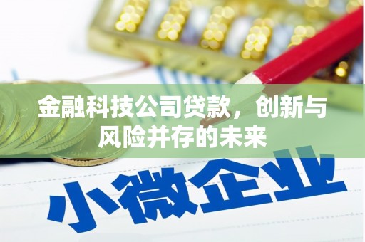 雅安金融科技公司贷款，创新与风险并存的未来