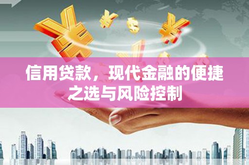 雅安信用贷款，现代金融的便捷之选与风险控制