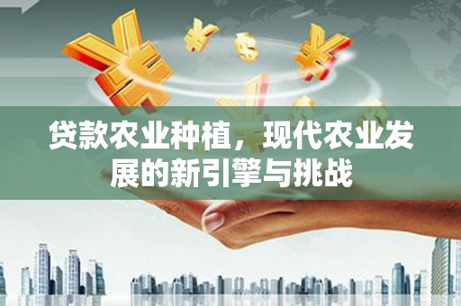 雅安贷款农业种植，现代农业发展的新引擎与挑战