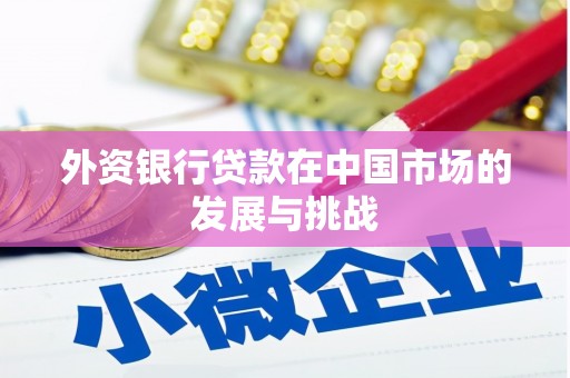 雅安外资银行贷款在中国市场的发展与挑战