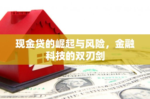 雅安现金贷的崛起与风险，金融科技的双刃剑
