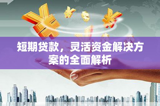 雅安短期贷款，灵活资金解决方案的全面解析