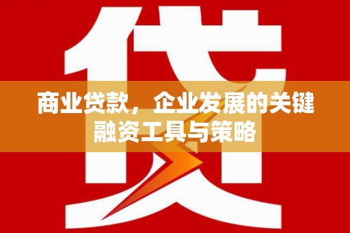 雅安商业贷款，企业发展的关键融资工具与策略
