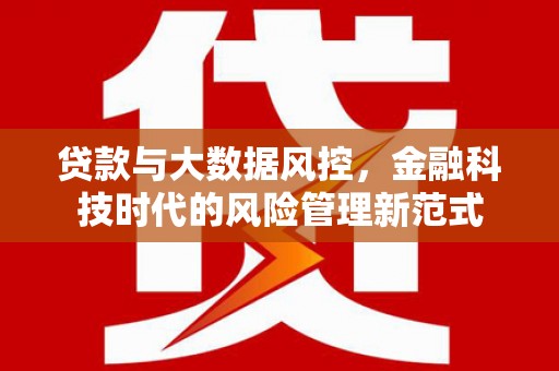 雅安贷款与大数据风控，金融科技时代的风险管理新范式