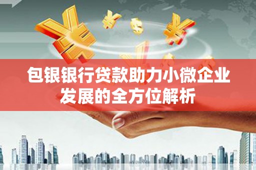 雅安包银银行贷款助力小微企业发展的全方位解析