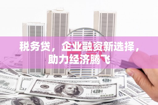 雅安税务贷，企业融资新选择，助力经济腾飞