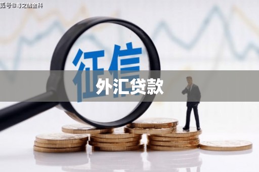 雅安外汇贷款