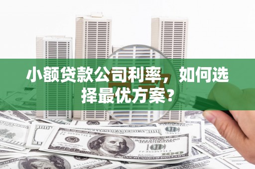 雅安小额贷款公司利率，如何选择最优方案？