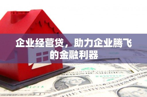 雅安企业经营贷，助力企业腾飞的金融利器