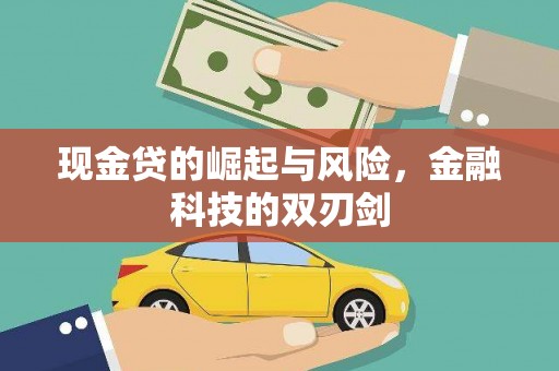 雅安现金贷的崛起与风险，金融科技的双刃剑
