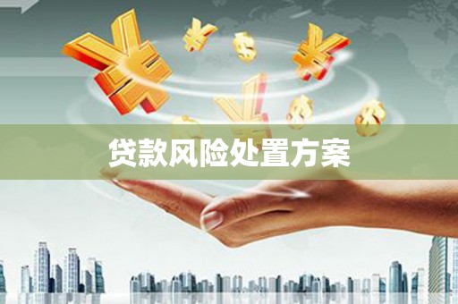 雅安贷款风险处置方案