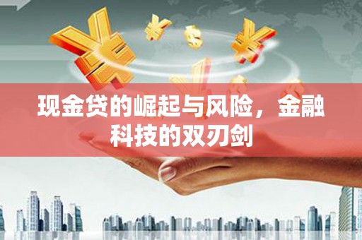 雅安现金贷的崛起与风险，金融科技的双刃剑