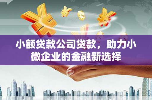 雅安小额贷款公司贷款，助力小微企业的金融新选择