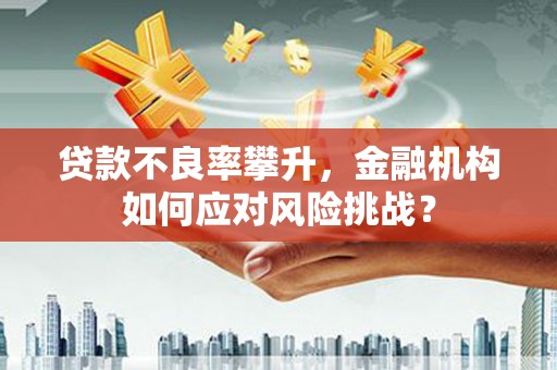 雅安贷款不良率攀升，金融机构如何应对风险挑战？
