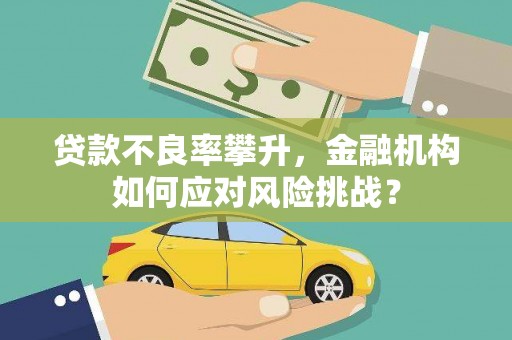 雅安贷款不良率攀升，金融机构如何应对风险挑战？
