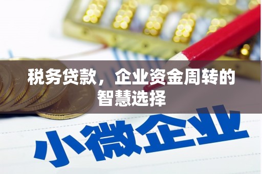 雅安税务贷款，企业资金周转的智慧选择