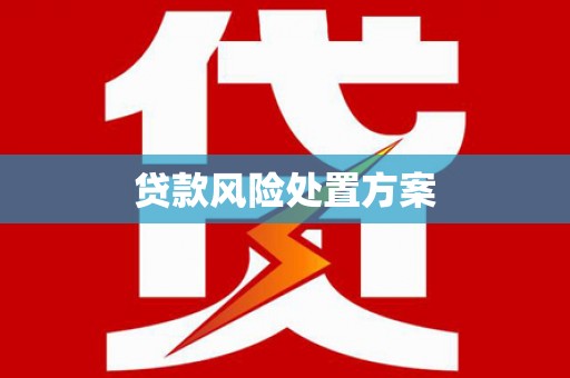 雅安贷款风险处置方案