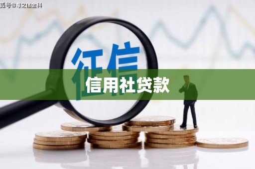 雅安信用社贷款