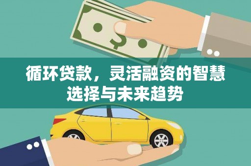 雅安循环贷款，灵活融资的智慧选择与未来趋势
