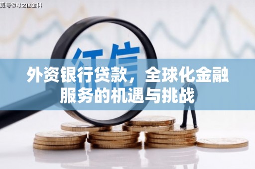雅安外资银行贷款，全球化金融服务的机遇与挑战
