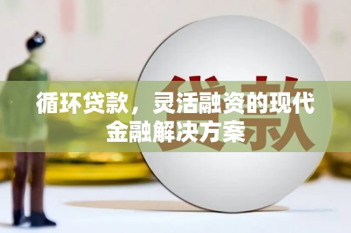 雅安循环贷款，灵活融资的现代金融解决方案
