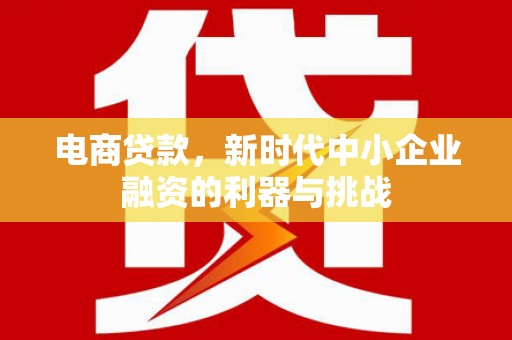 雅安电商贷款，新时代中小企业融资的利器与挑战