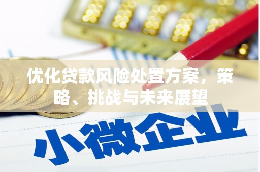 雅安优化贷款风险处置方案，策略、挑战与未来展望