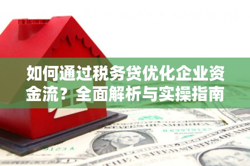 雅安如何通过税务贷优化企业资金流？全面解析与实操指南