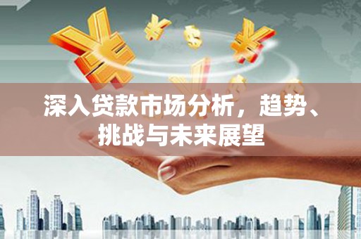 雅安深入贷款市场分析，趋势、挑战与未来展望