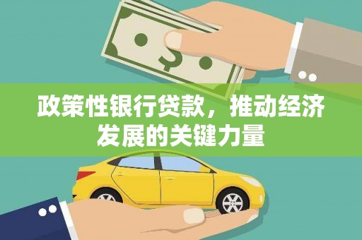 雅安政策性银行贷款，推动经济发展的关键力量