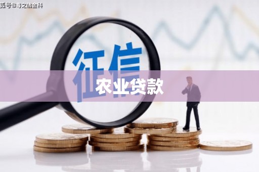 雅安农业贷款