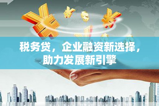 雅安税务贷，企业融资新选择，助力发展新引擎